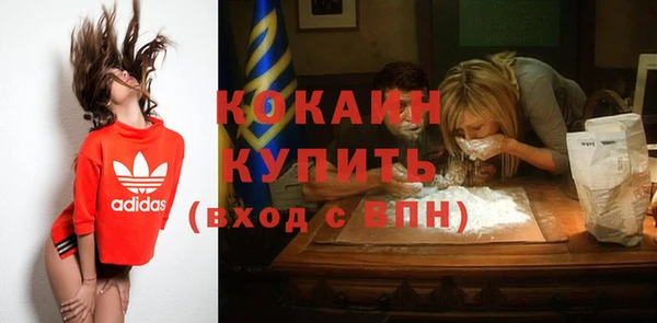 крисы Баксан