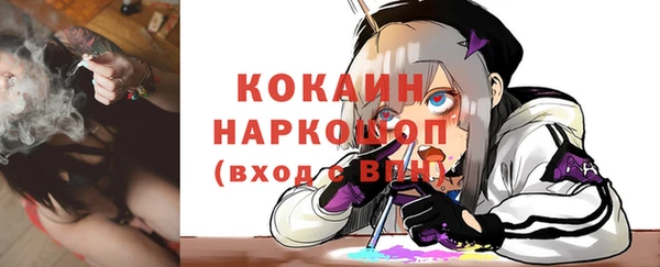 крисы Аркадак